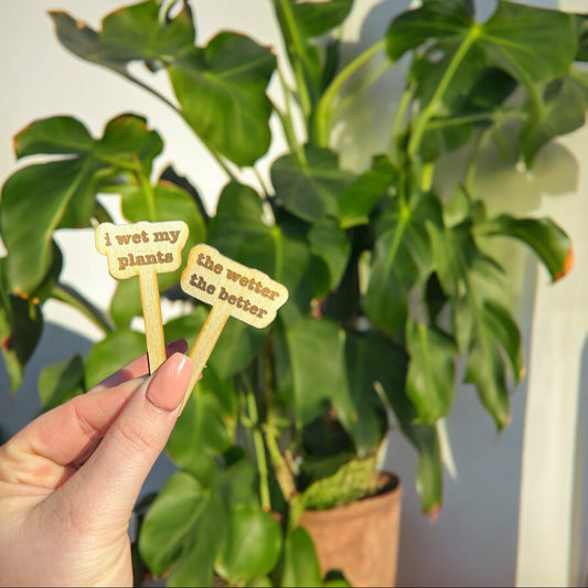 10 Stück lasergeschnittene Mini-Pflanzenschilder mit lustigen Texten – Perfekt für Gartenhumor!